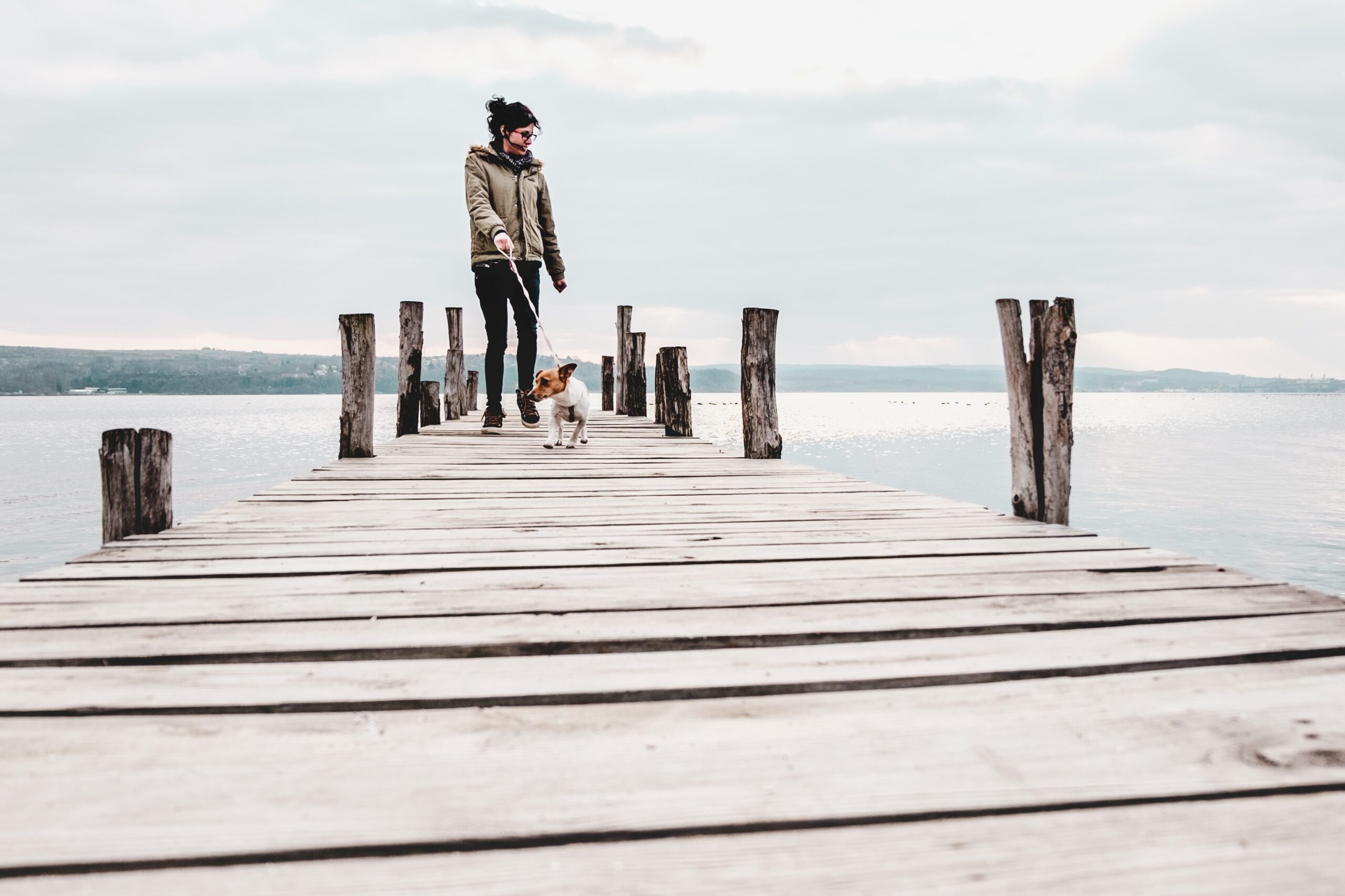 woman with a dog considering divorce